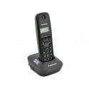 Panasonic KX-TG1611RU