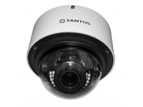 IP видеокамера TSi-Vn425VP