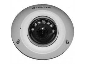 IP видеокамера TSi-Dn425FP