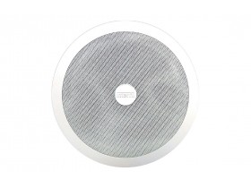 Трансляционный громкоговоритель CS-6 InterM