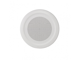 Трансляционный громкоговоритель CS-503F InterM