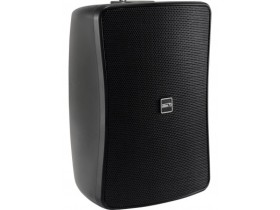 Трансляционный громкоговоритель WS-50T InterM